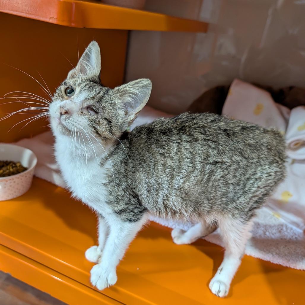 Florence thumbnail 2