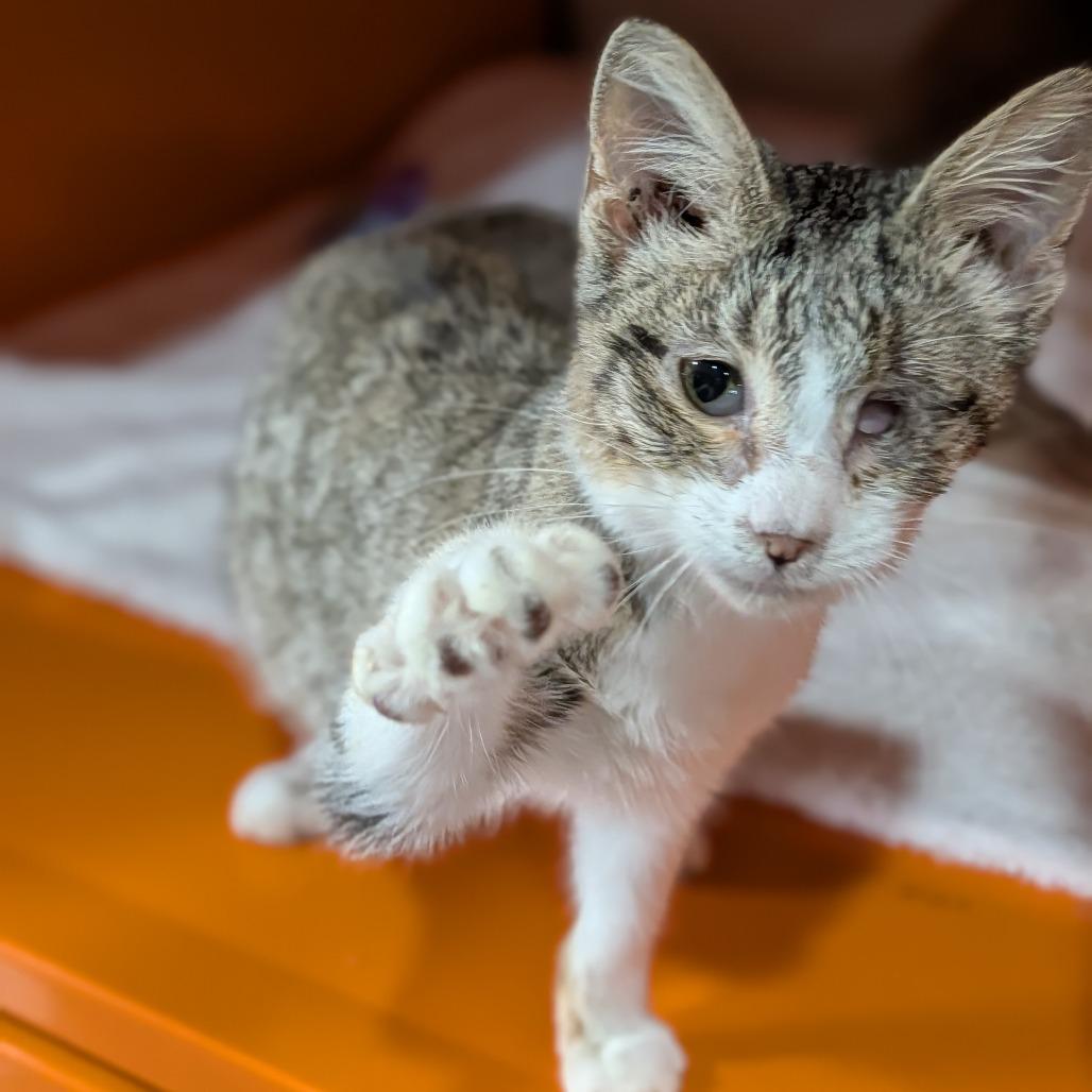 Florence thumbnail 3