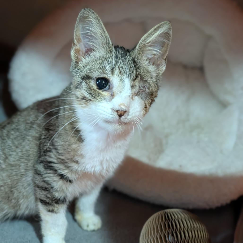 Florence thumbnail 4