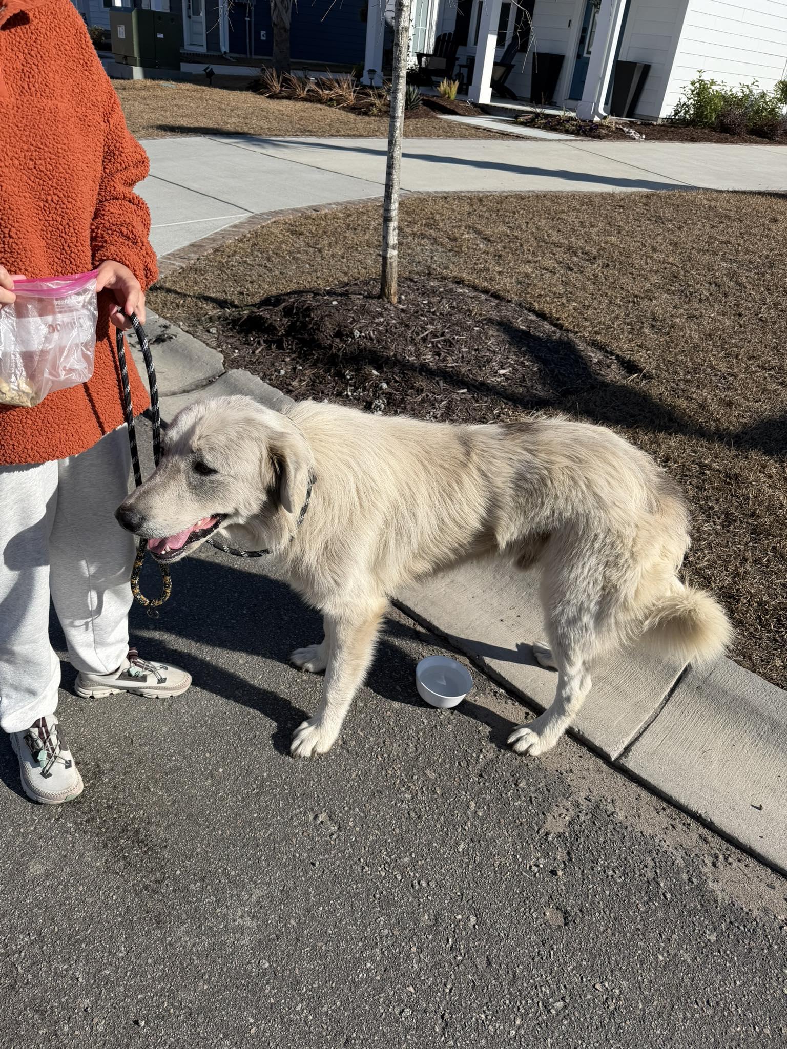 Papa — thumbnail 4