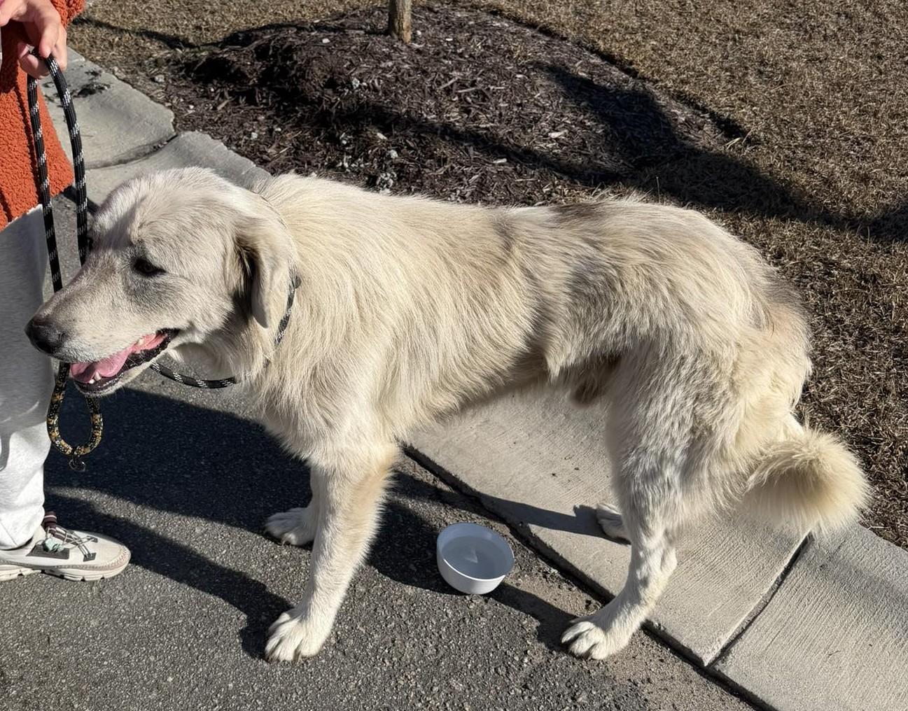 Papa — thumbnail 5