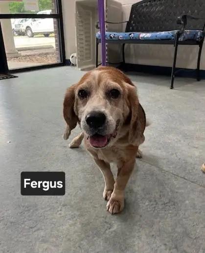 Fergus Warren thumbnail 2