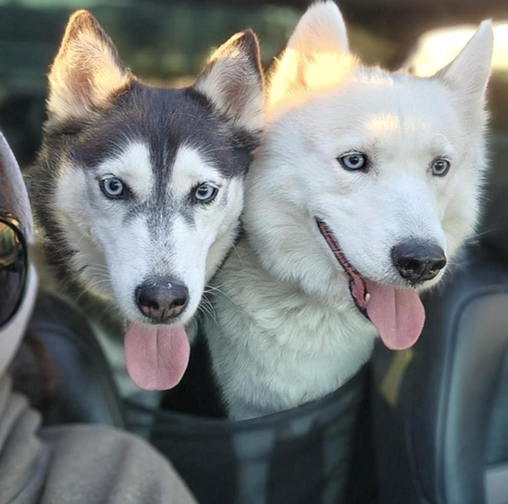 Axel and Canada — thumbnail 5