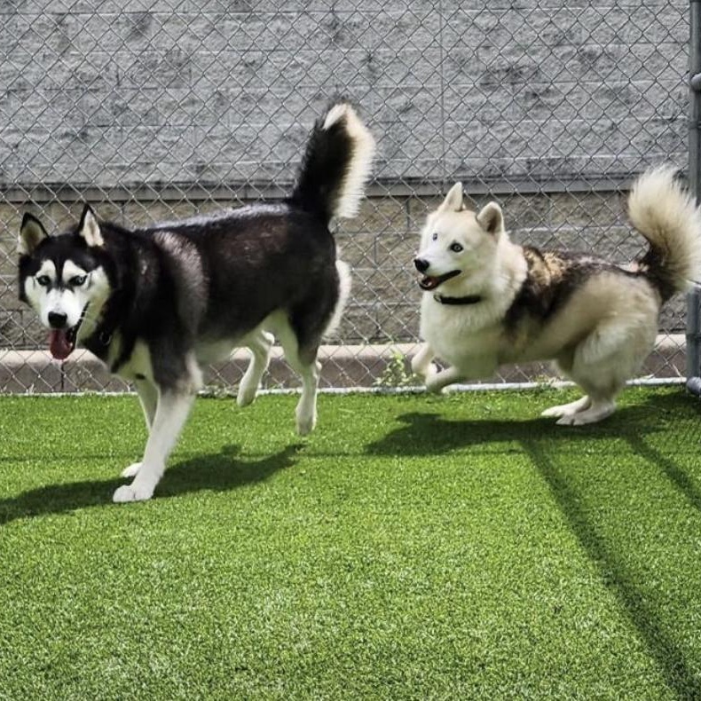 Axel and Canada — thumbnail 6