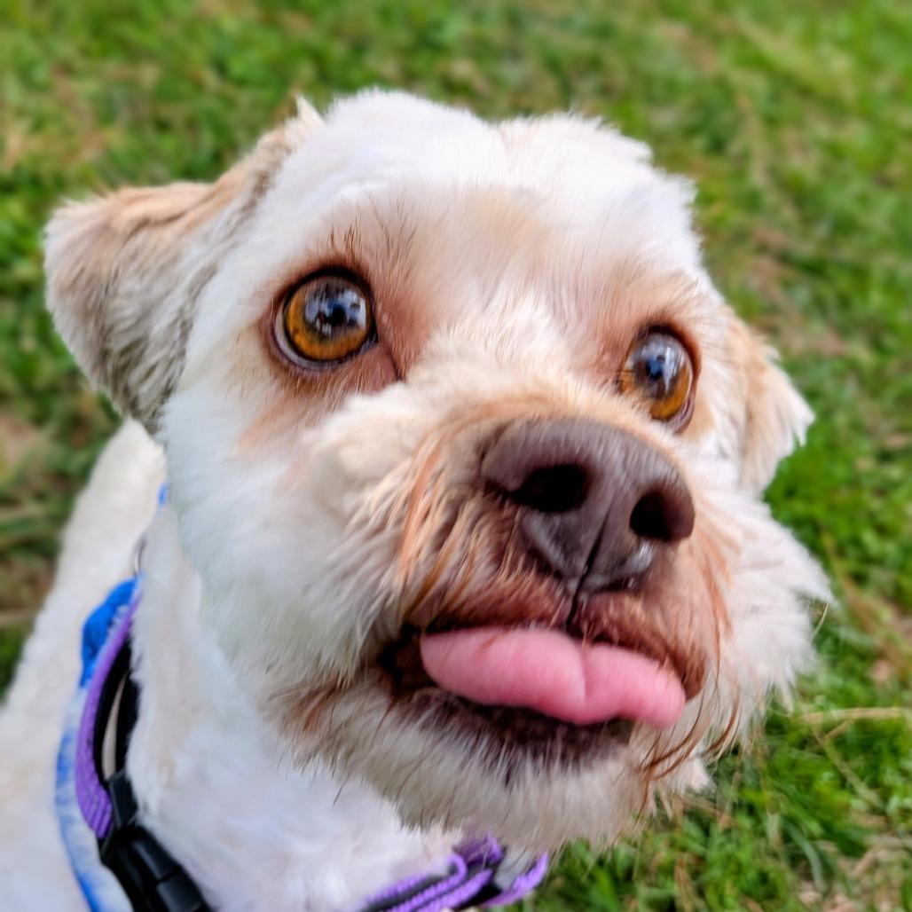 Cindy Lou Who — thumbnail 2