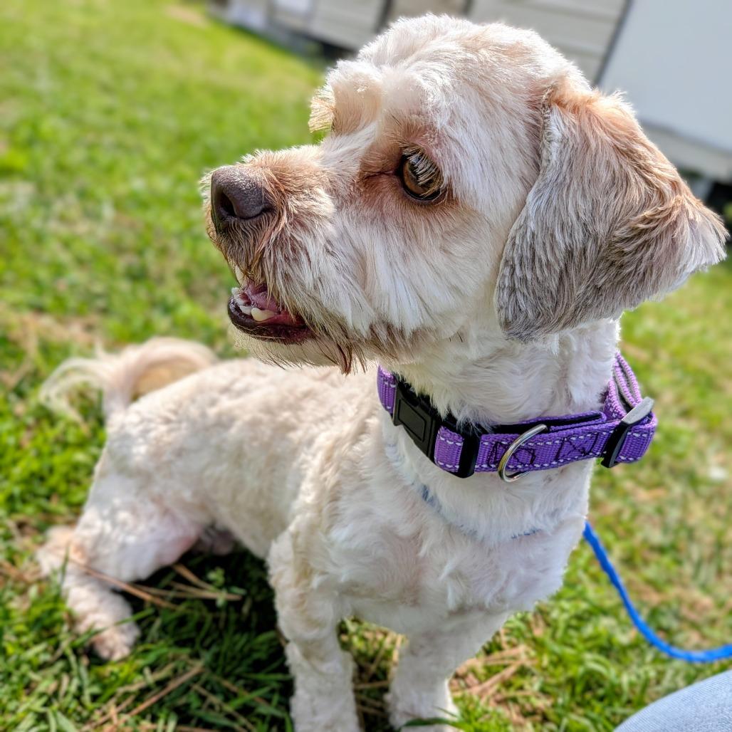 Cindy Lou Who — thumbnail 3