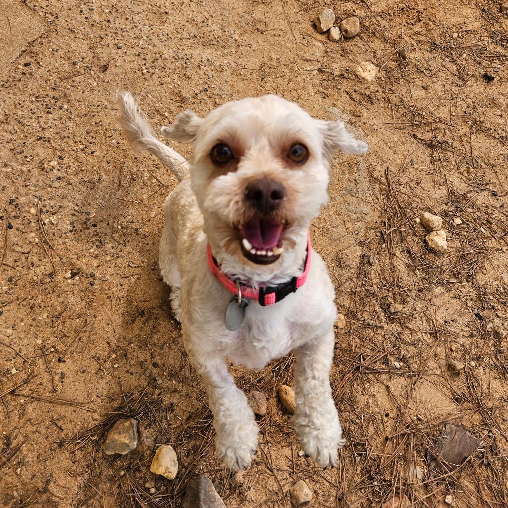 Cindy Lou Who — thumbnail 5