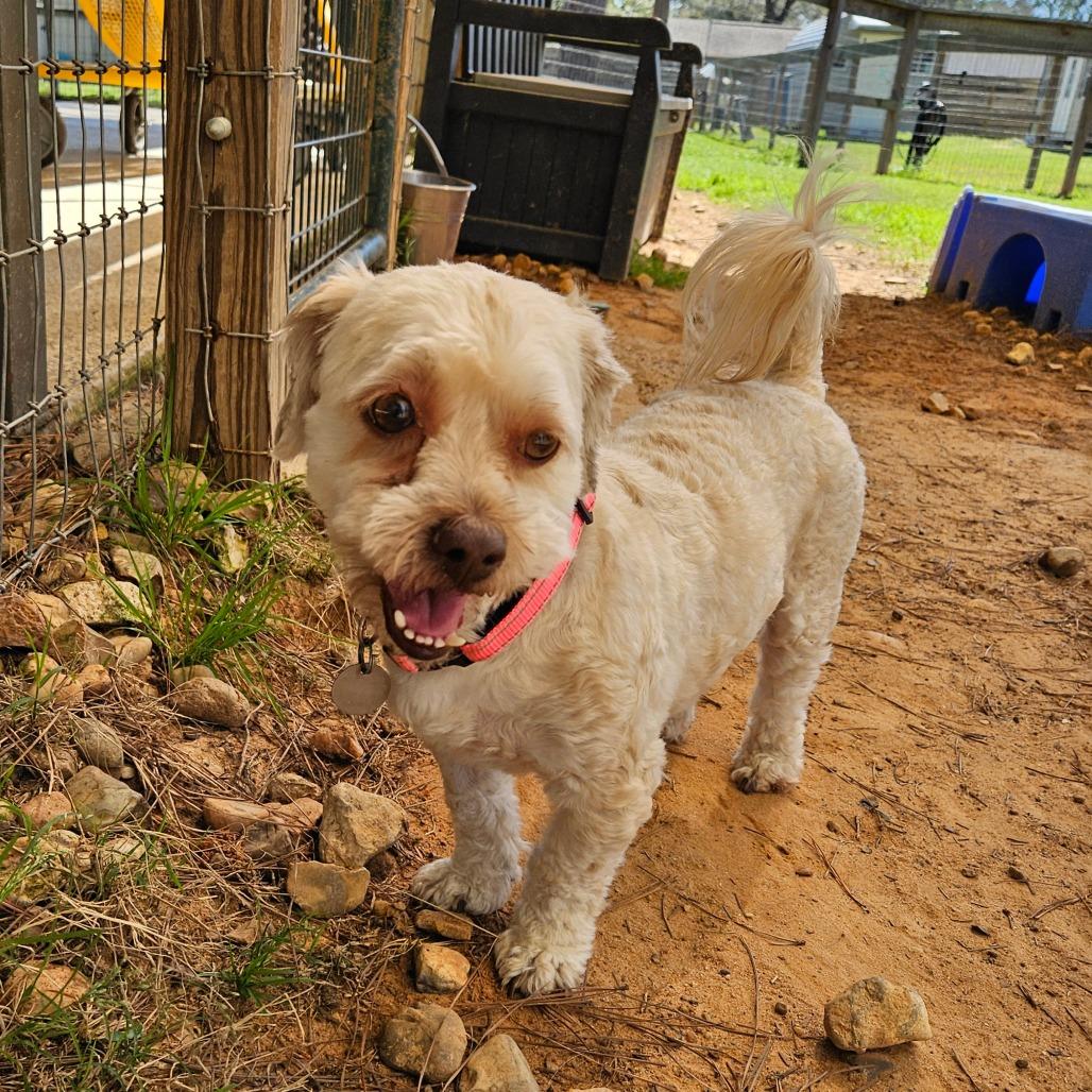 Cindy Lou Who — thumbnail 6