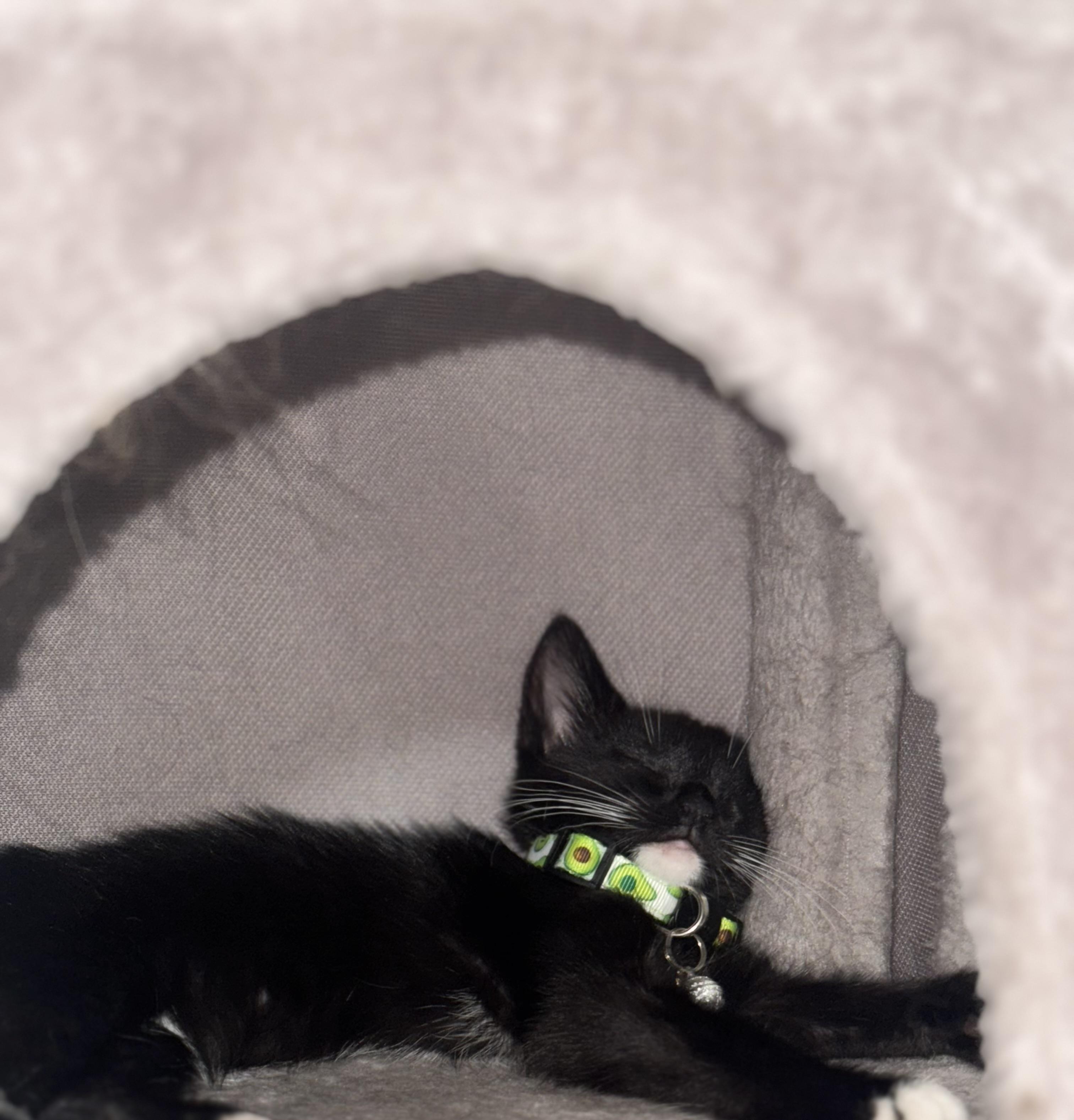 Socks photo 5