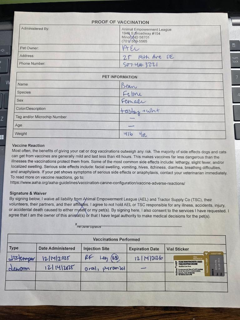 Coffee Bean aka "Bean, a Adopted mixed breed in Minot, ND image 1/4