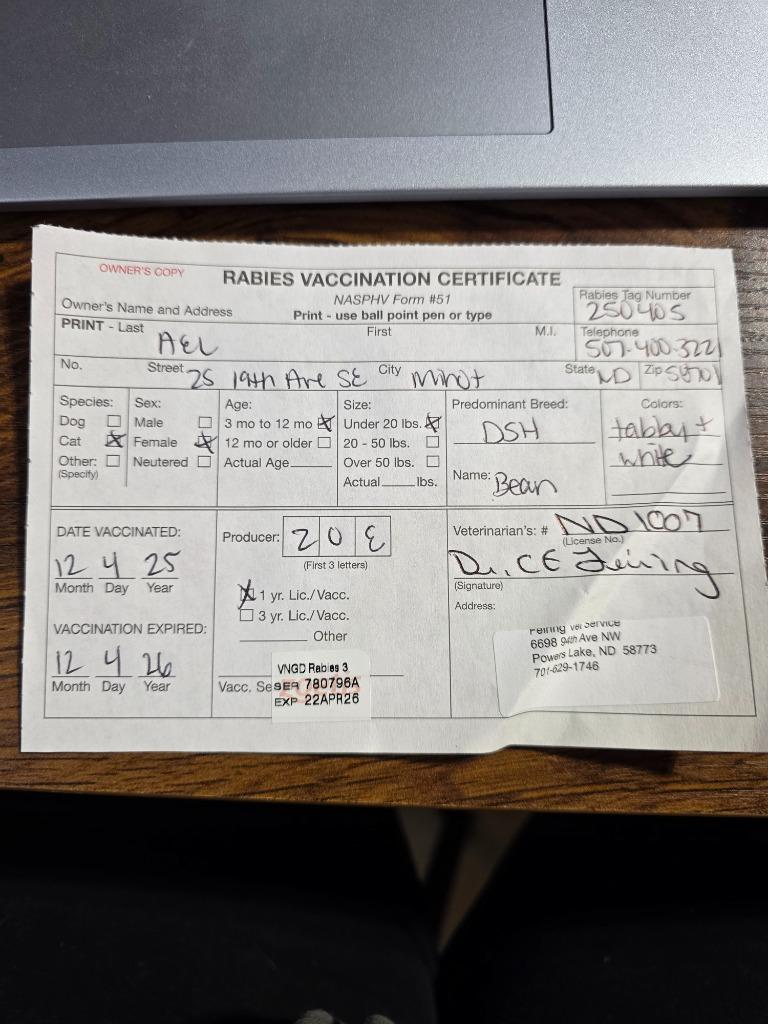 Coffee Bean aka "Bean, a Adopted mixed breed in Minot, ND image 4/4