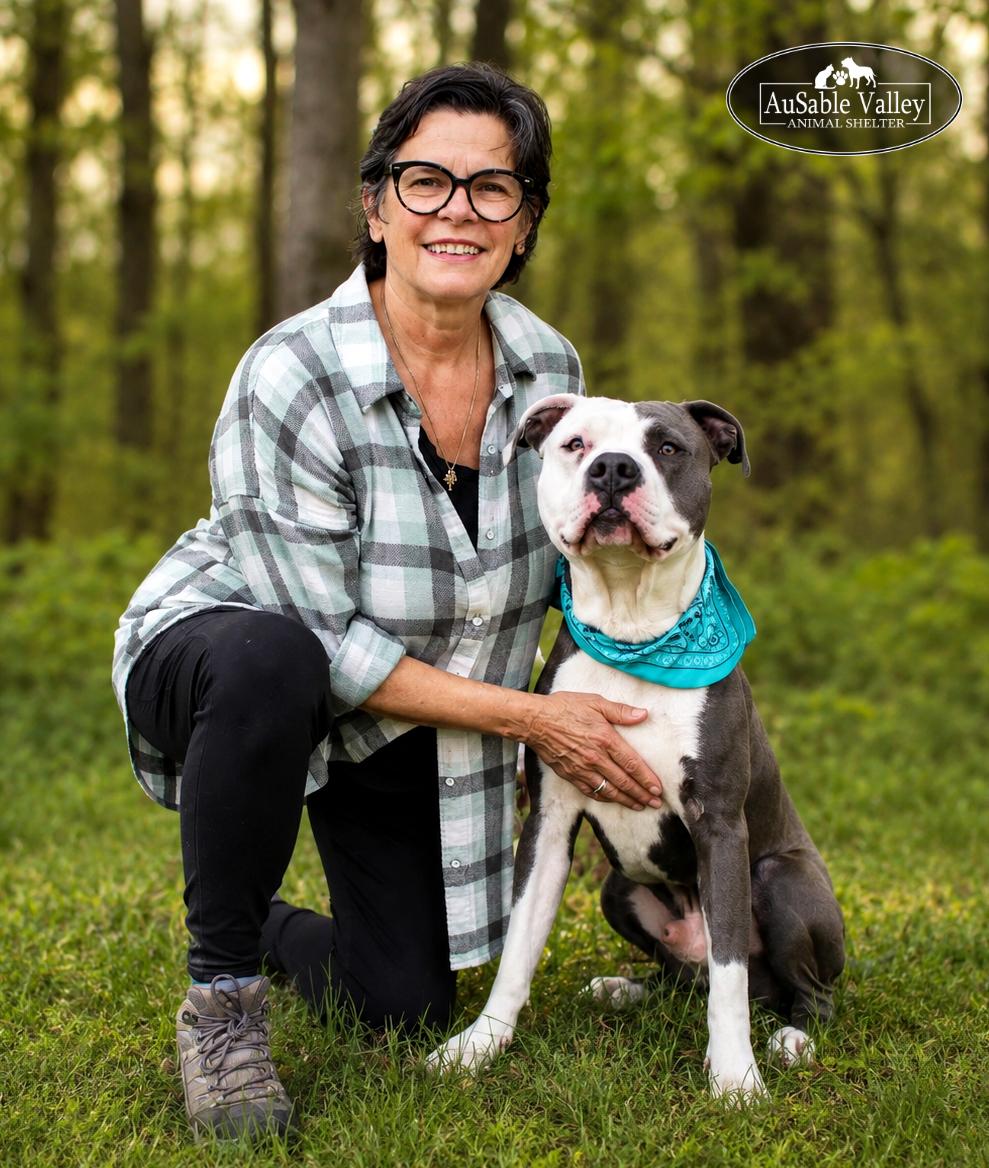Enlarge Blaze, a ADOPTABLE mixed breed in Grayling, MI image 3/6