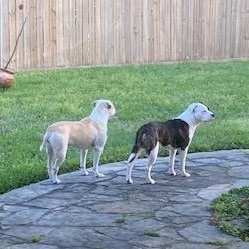 Bonnie and Clive — thumbnail 5