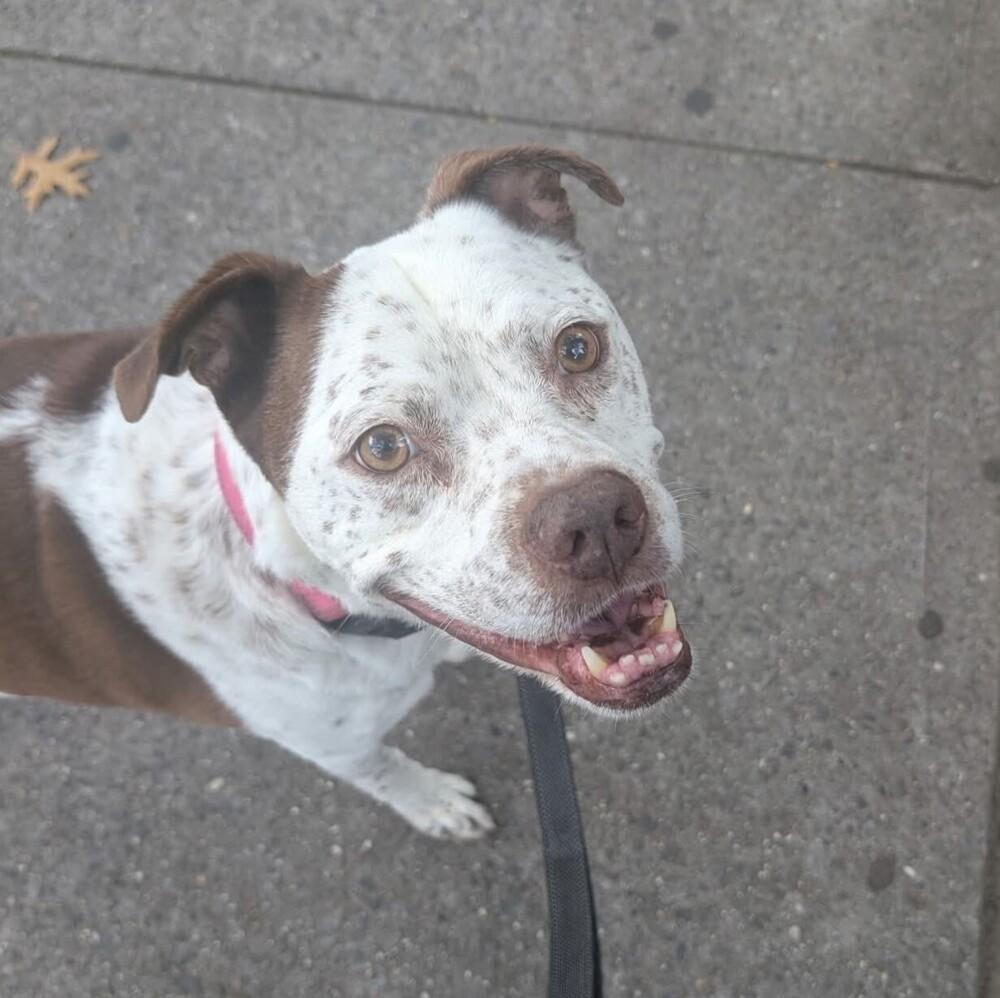 Freckles thumbnail 4