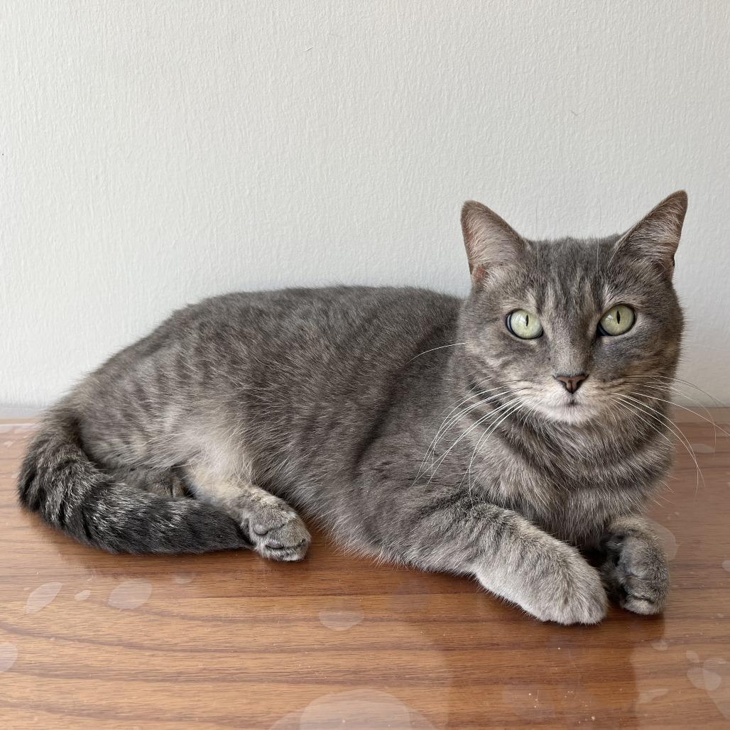 Cutie Mila — thumbnail 2