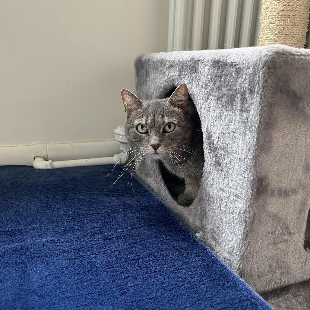 Cutie Mila — thumbnail 3