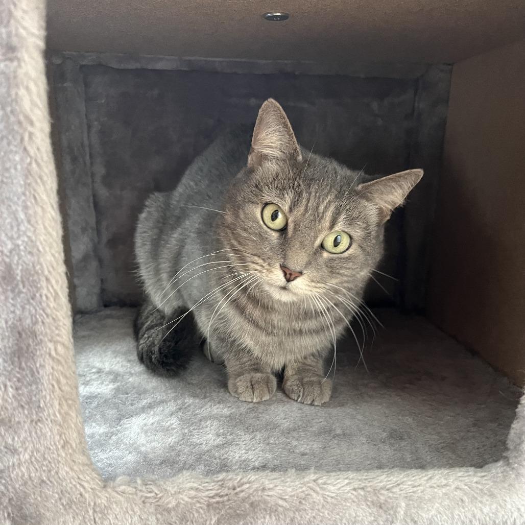 Cutie Mila — thumbnail 4