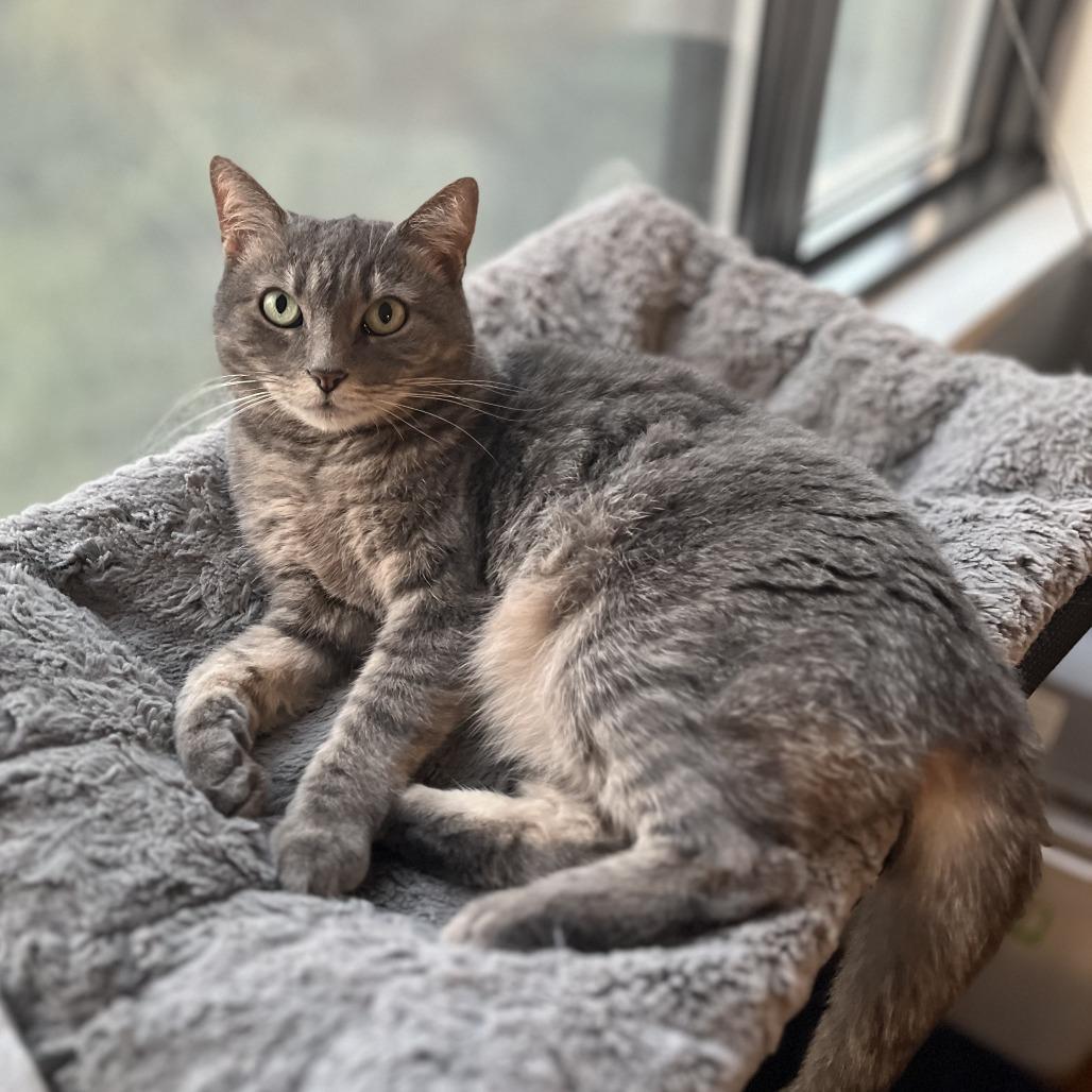 Cutie Mila — thumbnail 5