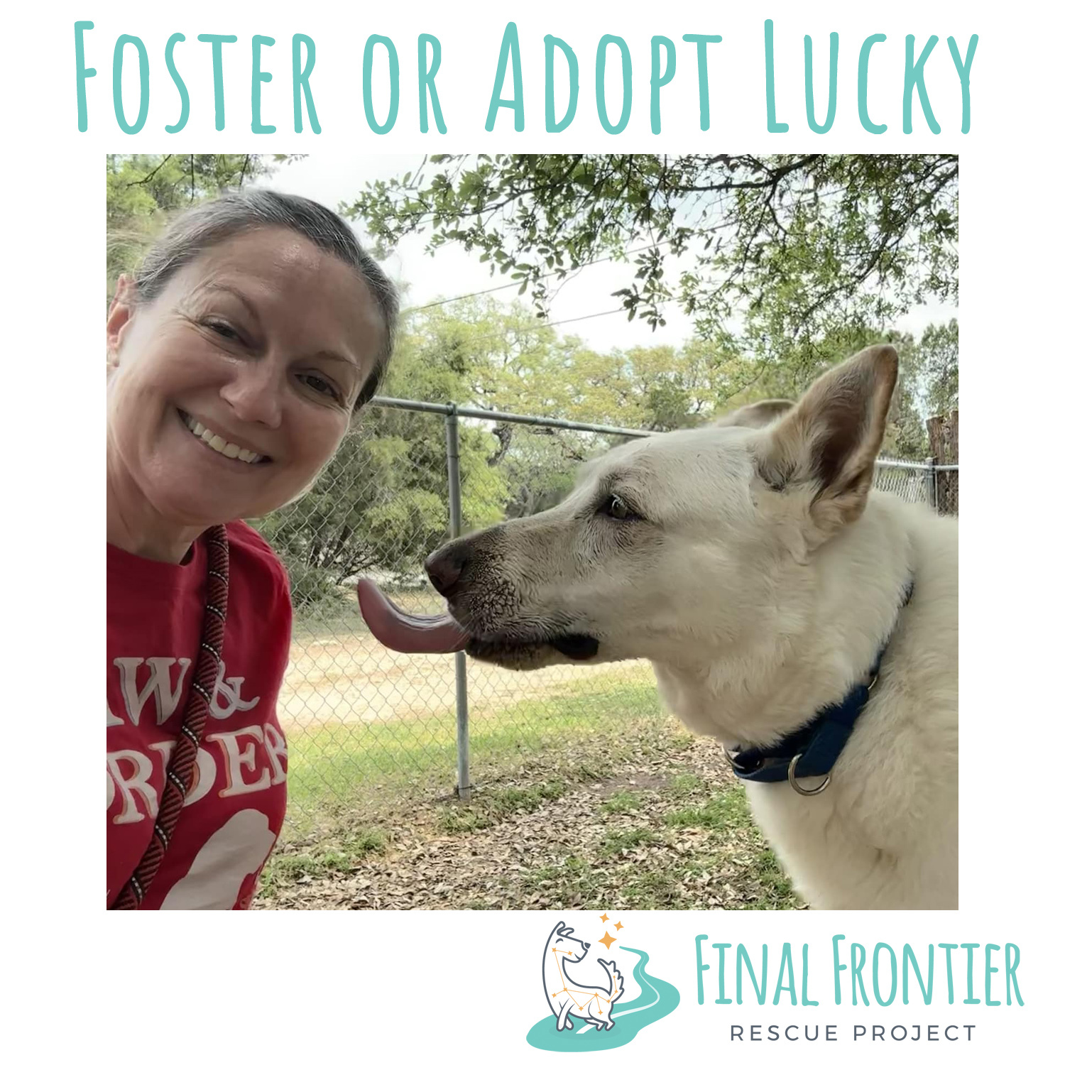 Lucky, a Adoptable mixed breed in Georgetown, TX image 2/6