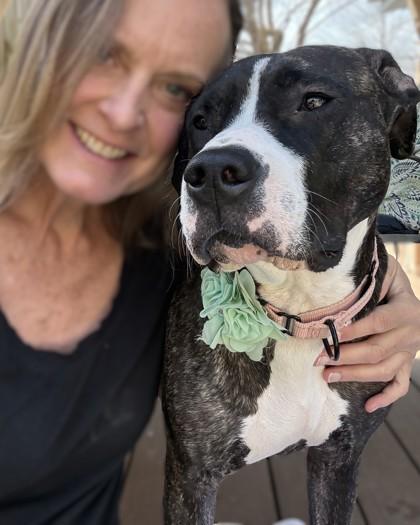 Enlarge Nyala, a Adoptable mixed breed in Washington, DC image 2/3