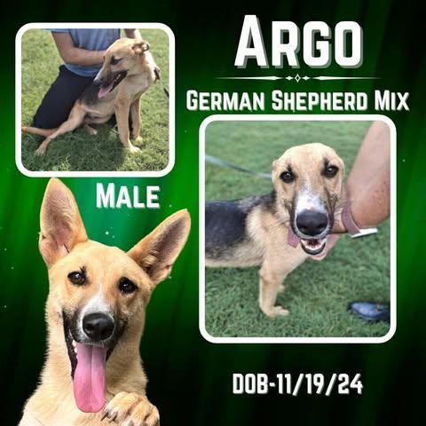 Argo