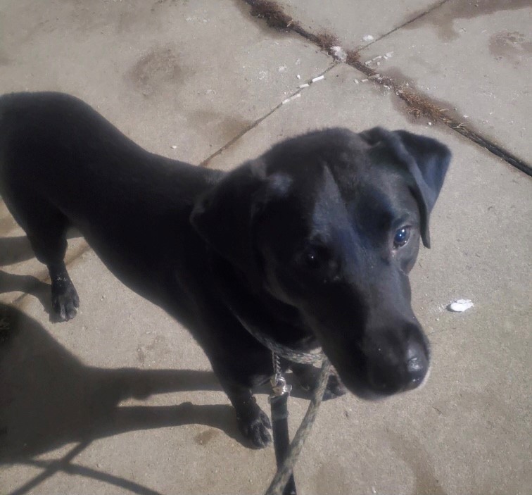 Brody Meet me? 3