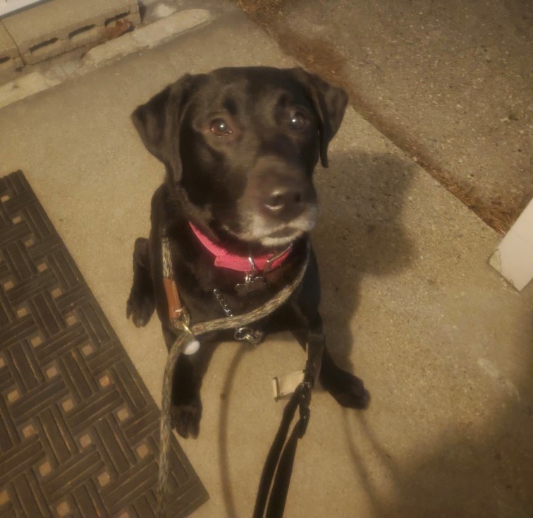 Brody Meet me? 5