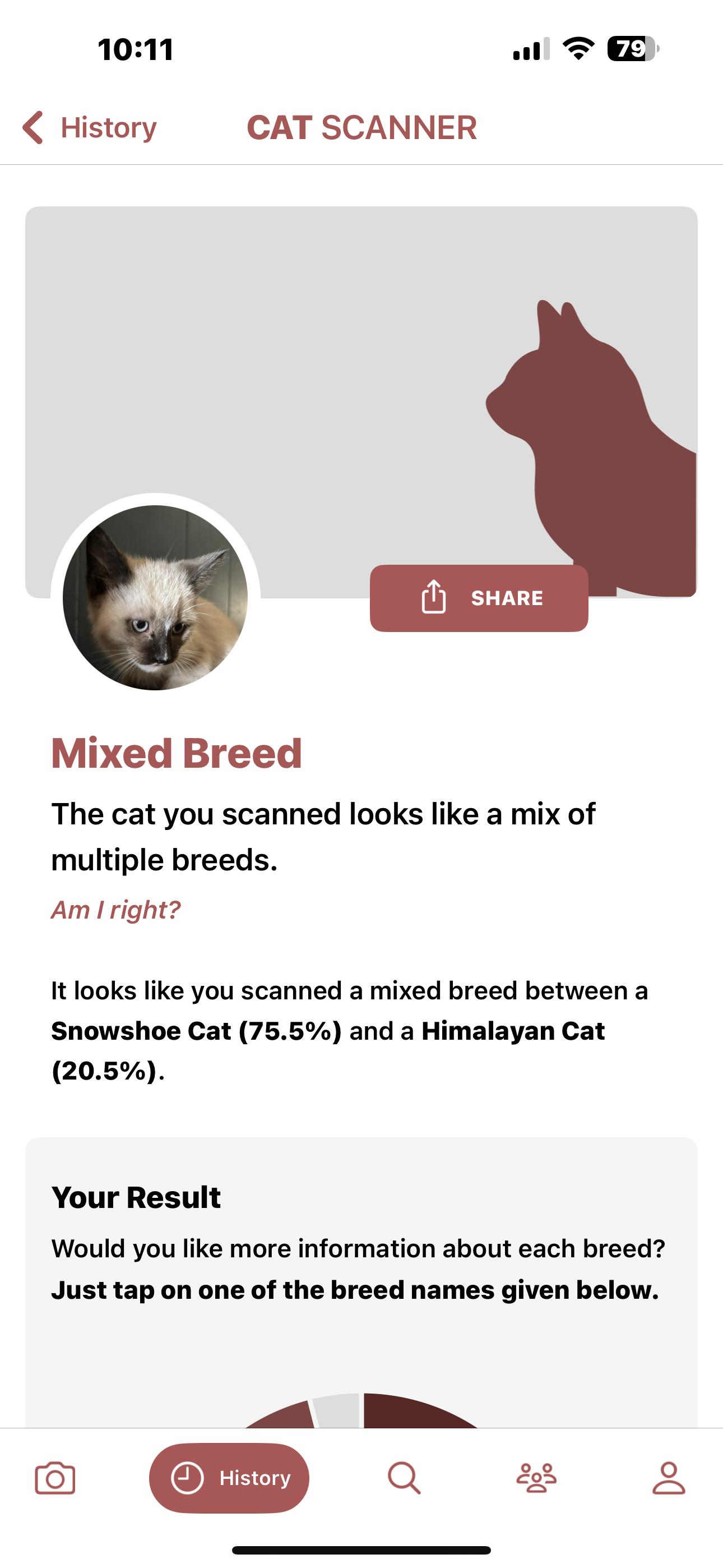 Enlarge Tashi (fortunate), an adopted mixed breed in Lancaster, CA image 5/5