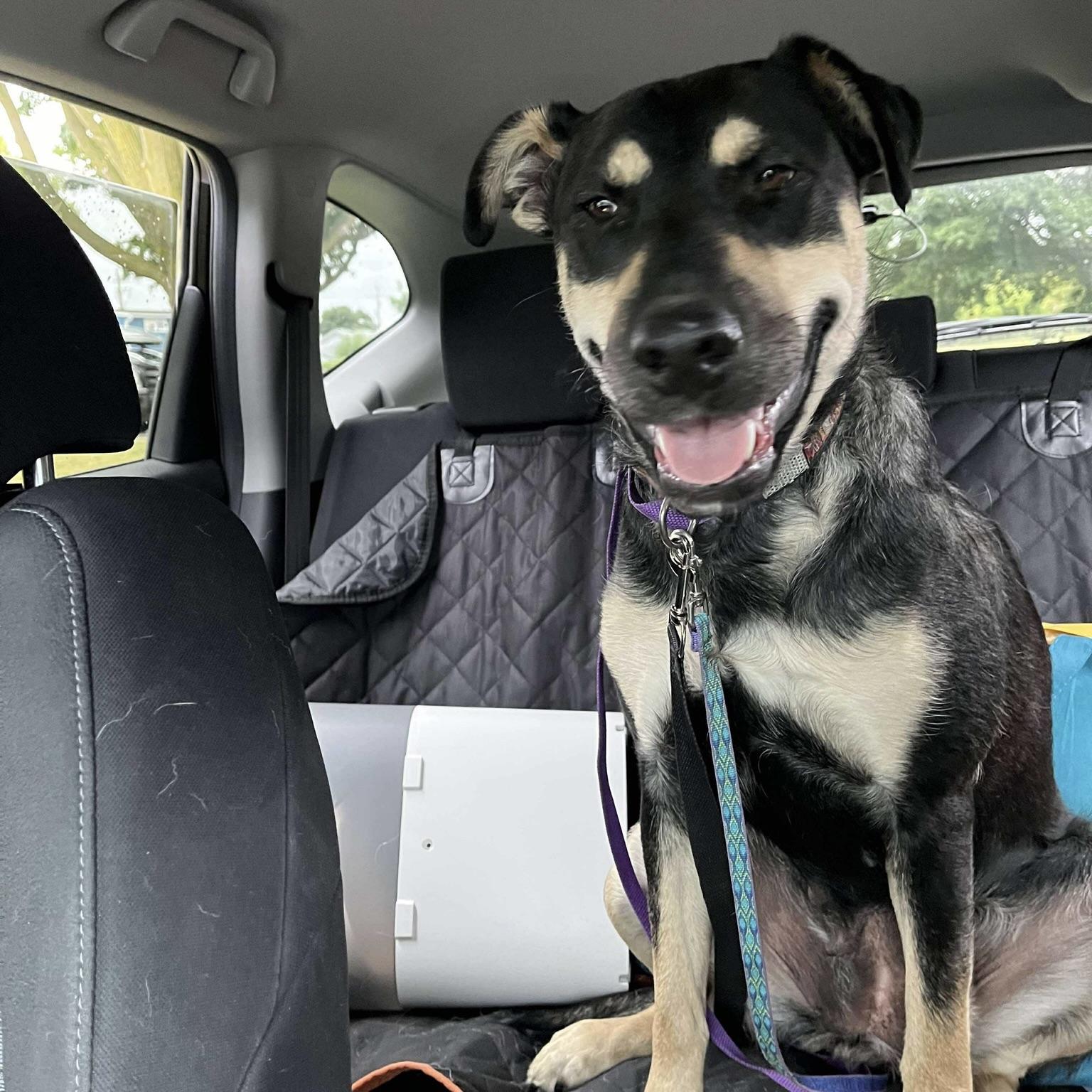 Midnight (20250731-05)