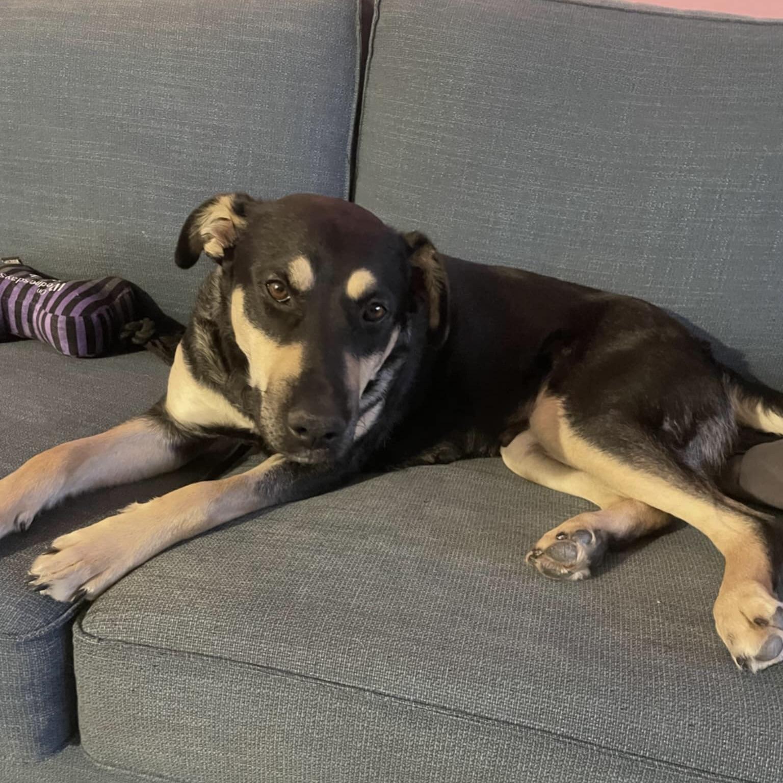 Midnight (20250731-05)