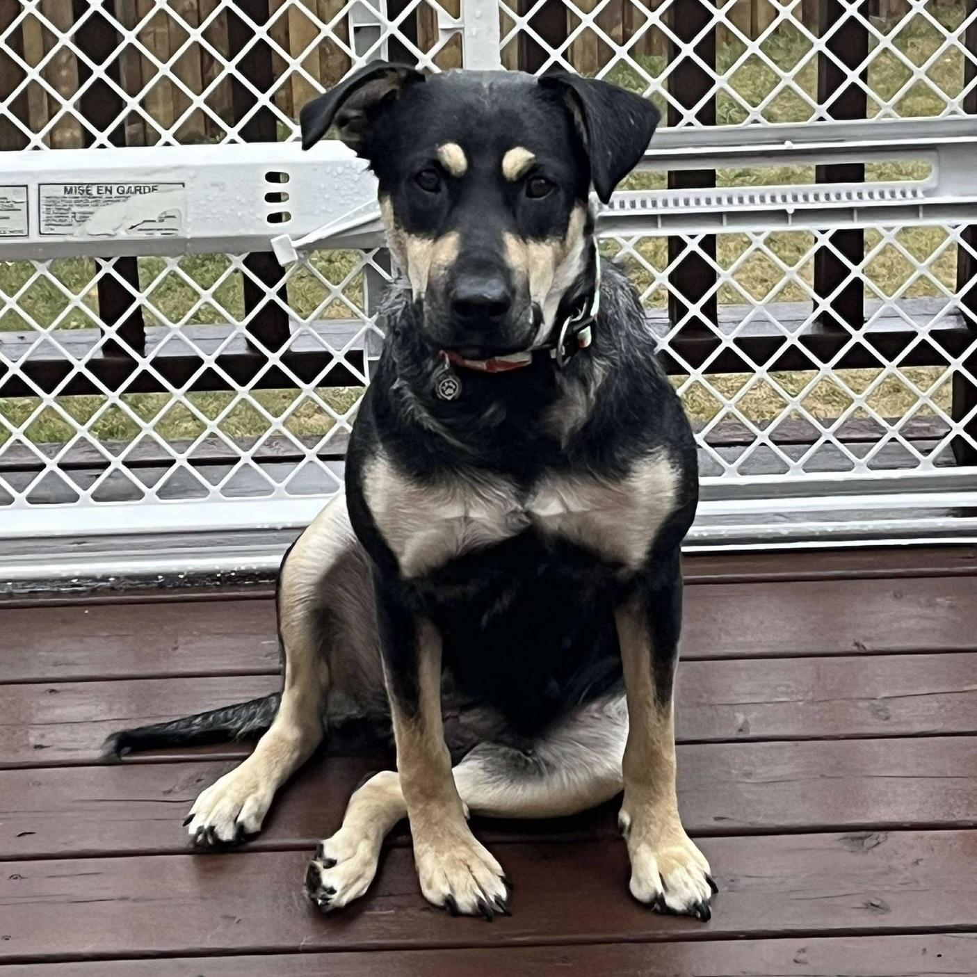 Midnight (20250731-05)