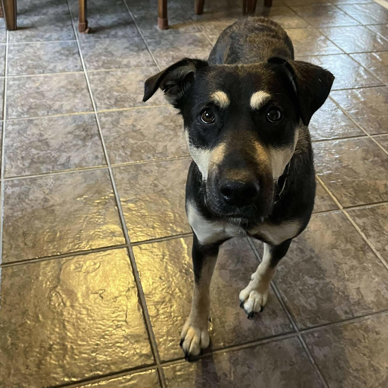 Midnight (20250731-05)