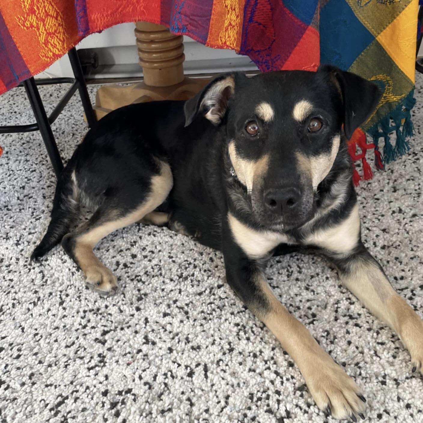 Midnight (20250731-05)