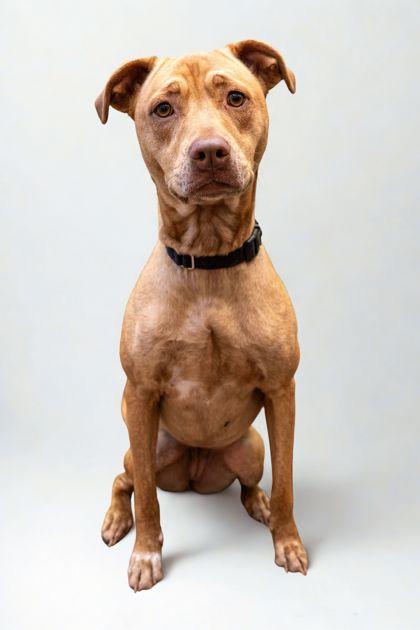 Debbie — thumbnail 3