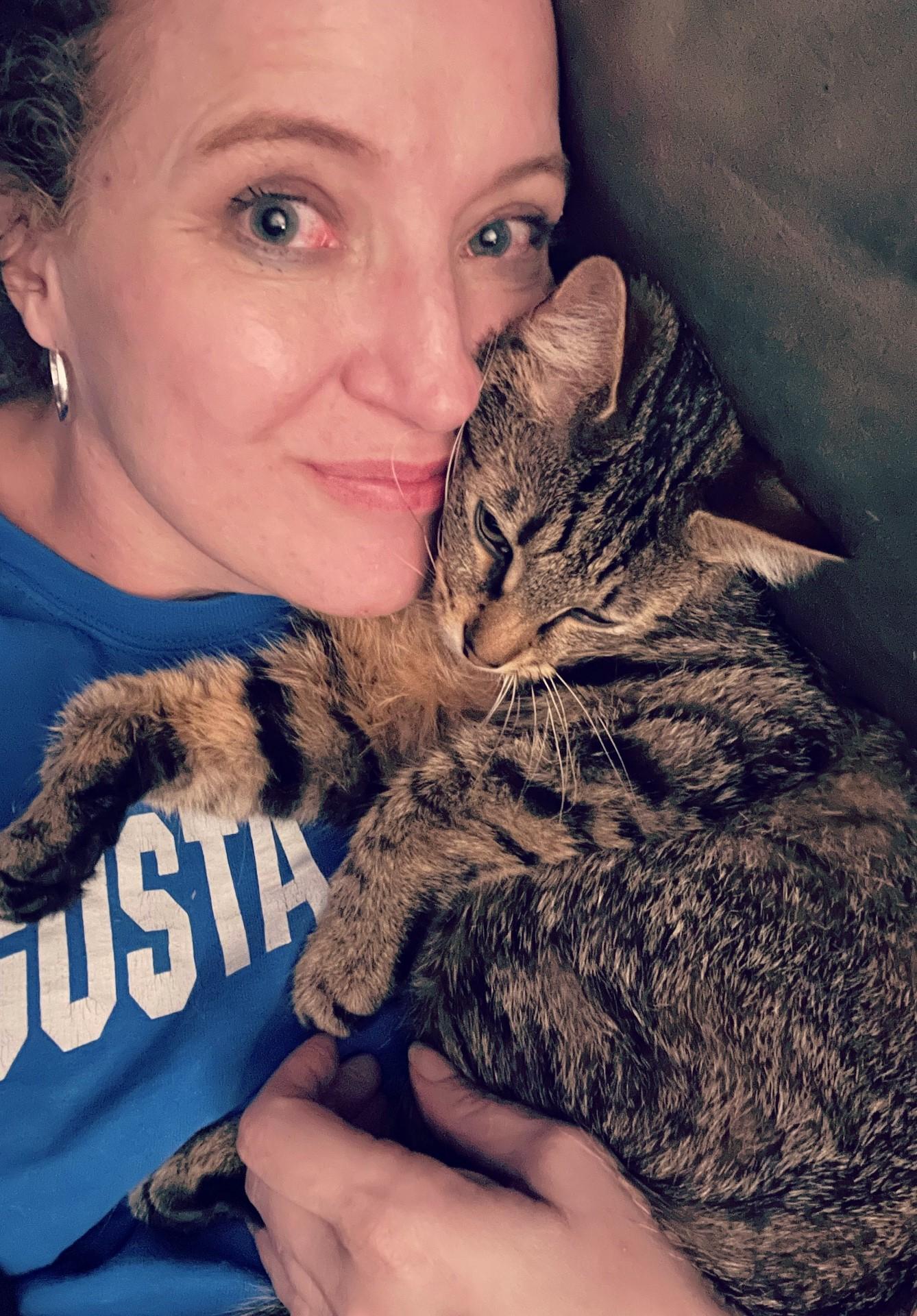 Cookie, a Adoptable Tabby in Beckley, WV image 2/3