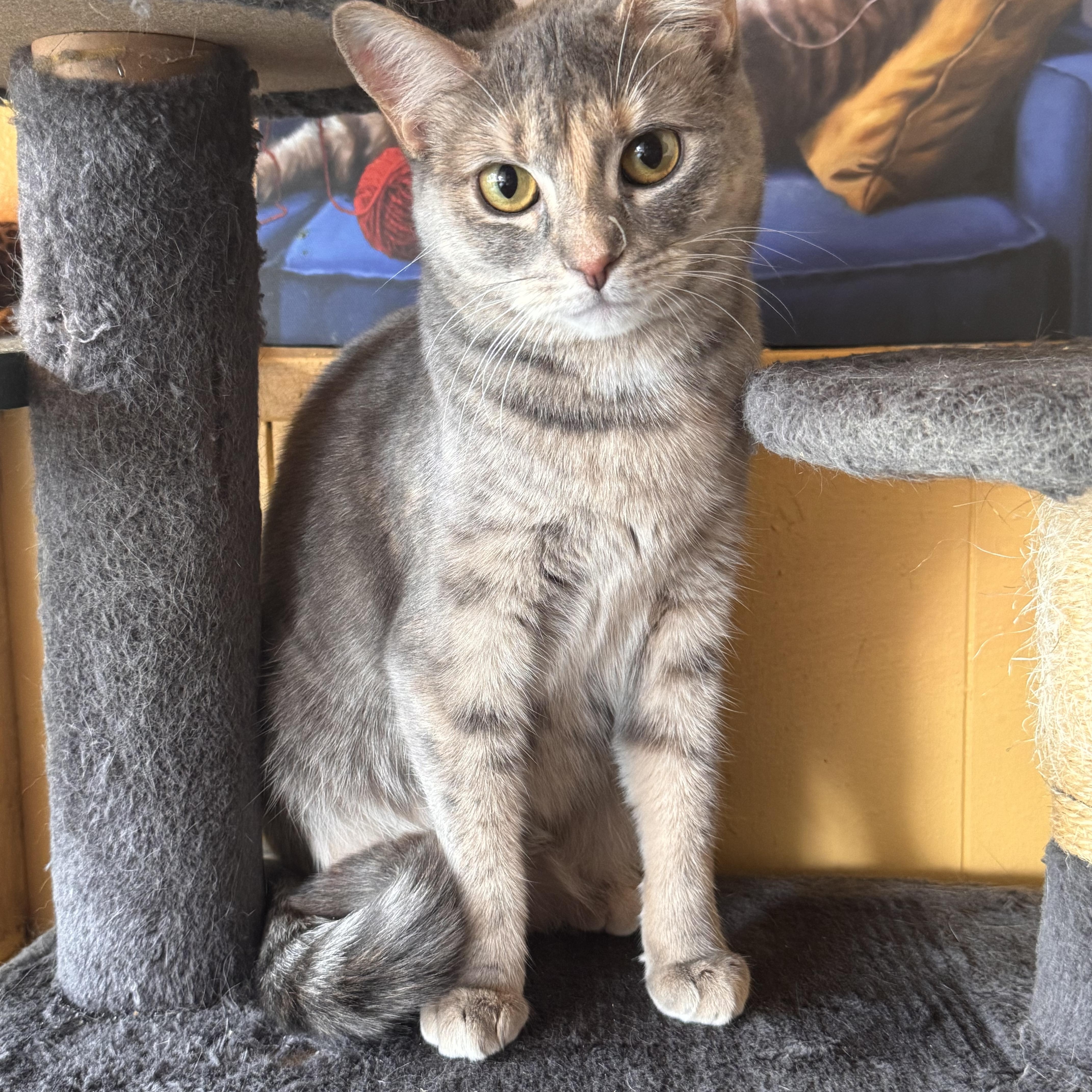 Leona photo