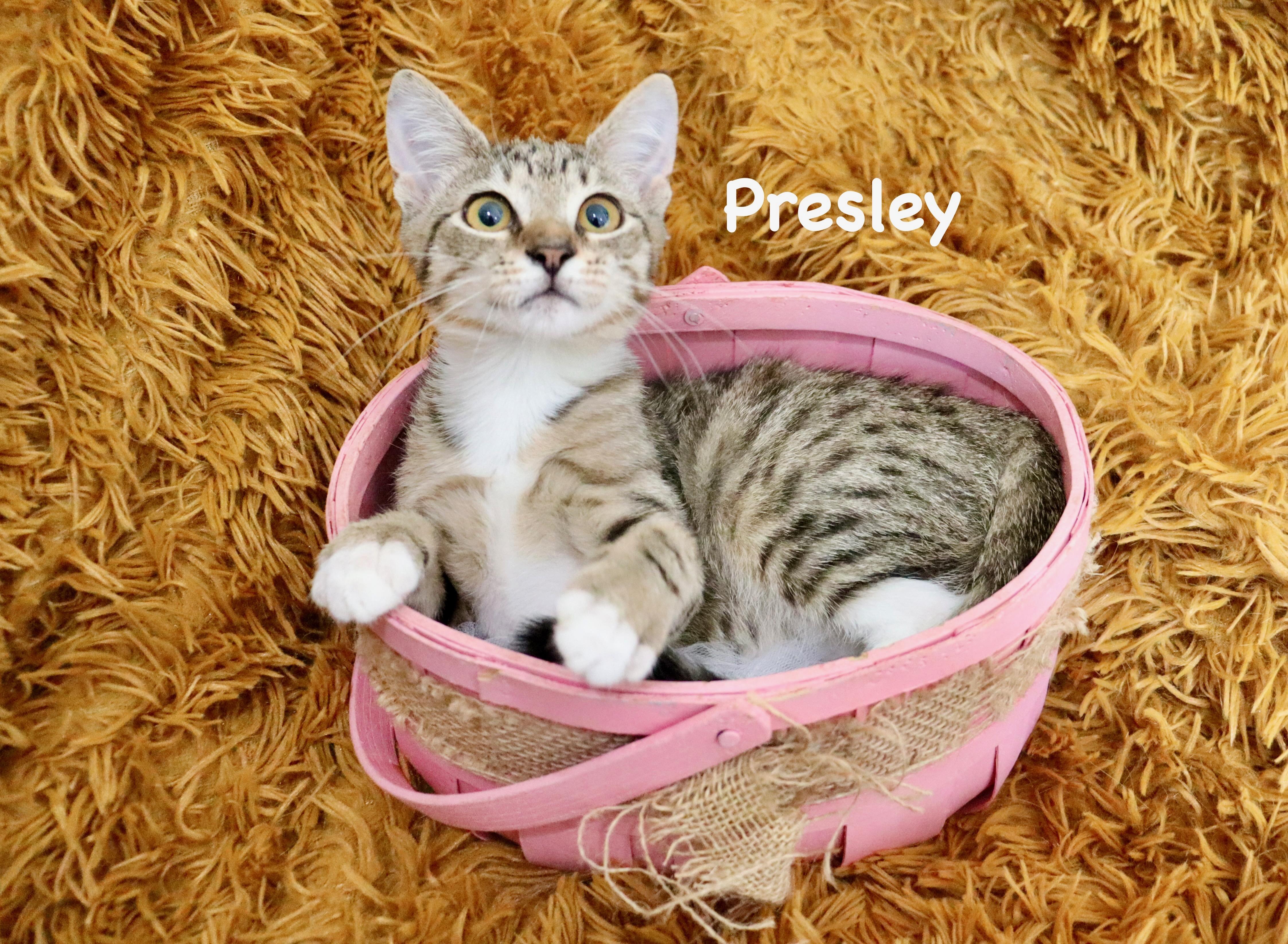 Presley