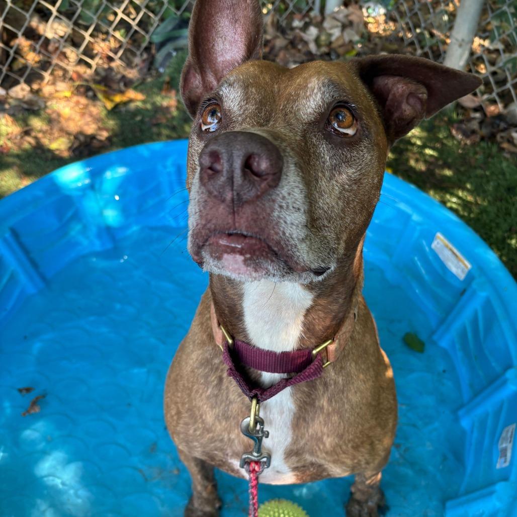 Melon Loaf — thumbnail 3