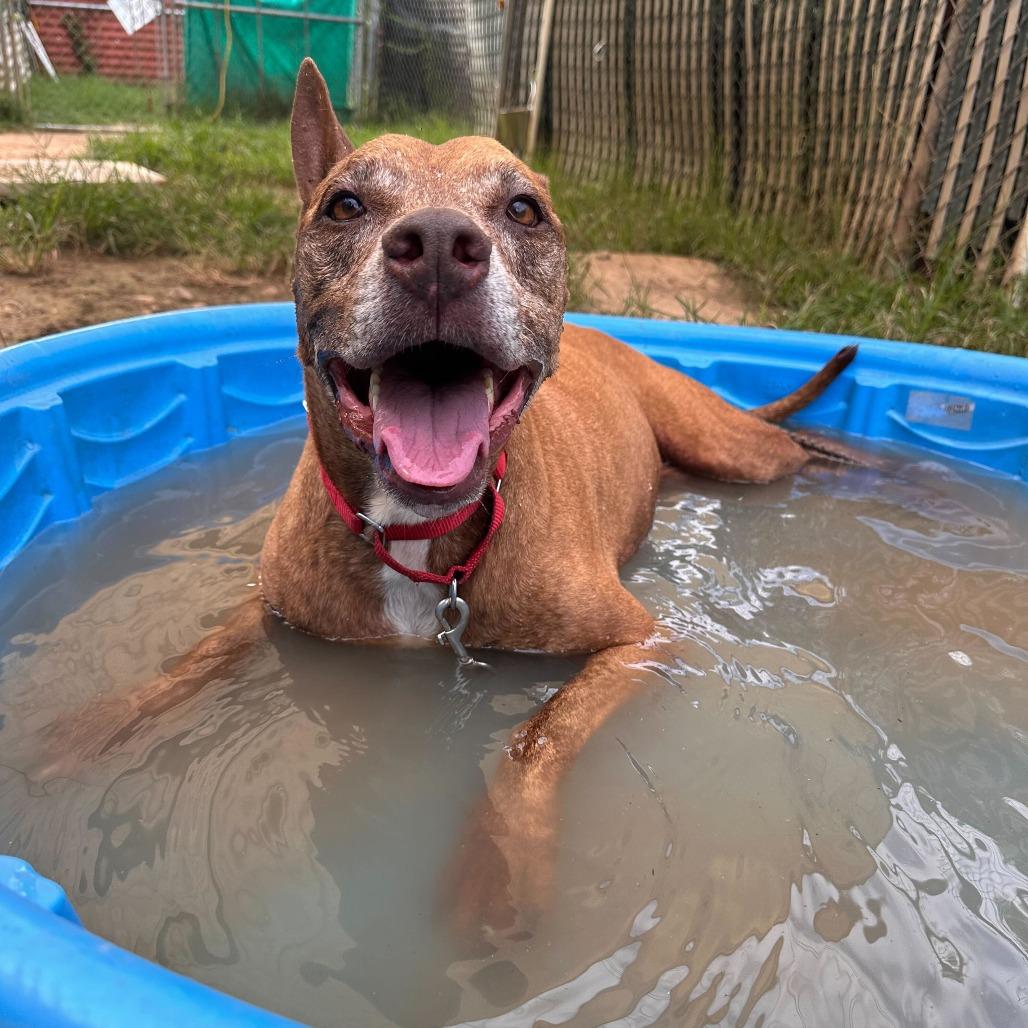 Melon Loaf — thumbnail 5