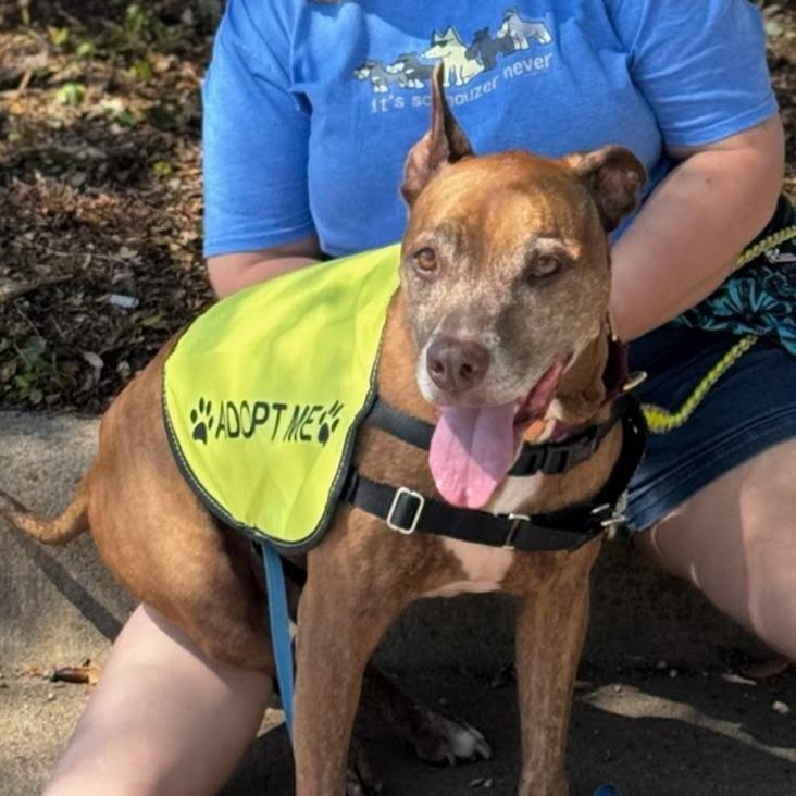 Melon Loaf — thumbnail 6