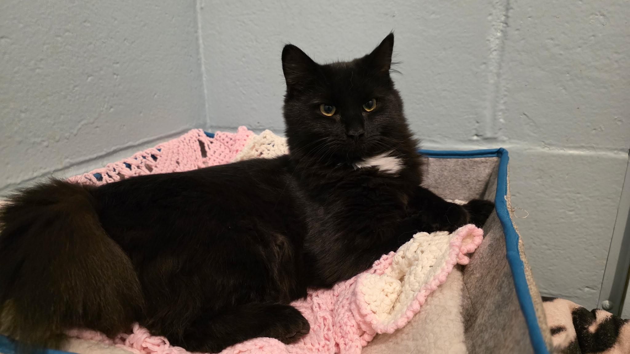 Zofia, Donna, Gail & Miranda