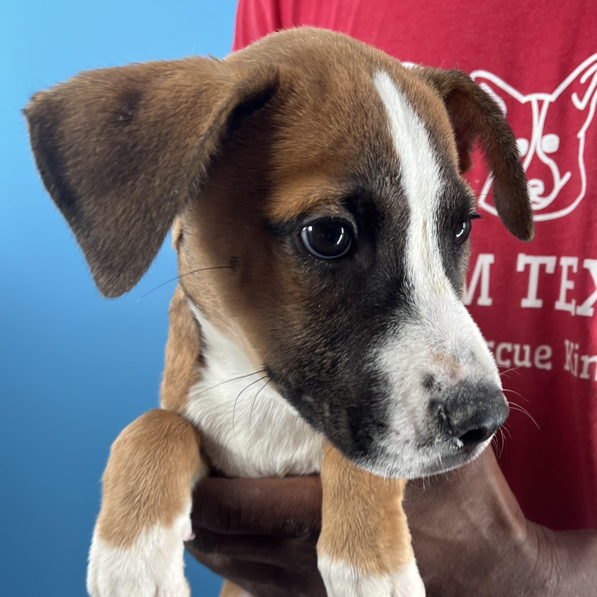 Carla  Local Oct thumbnail 4