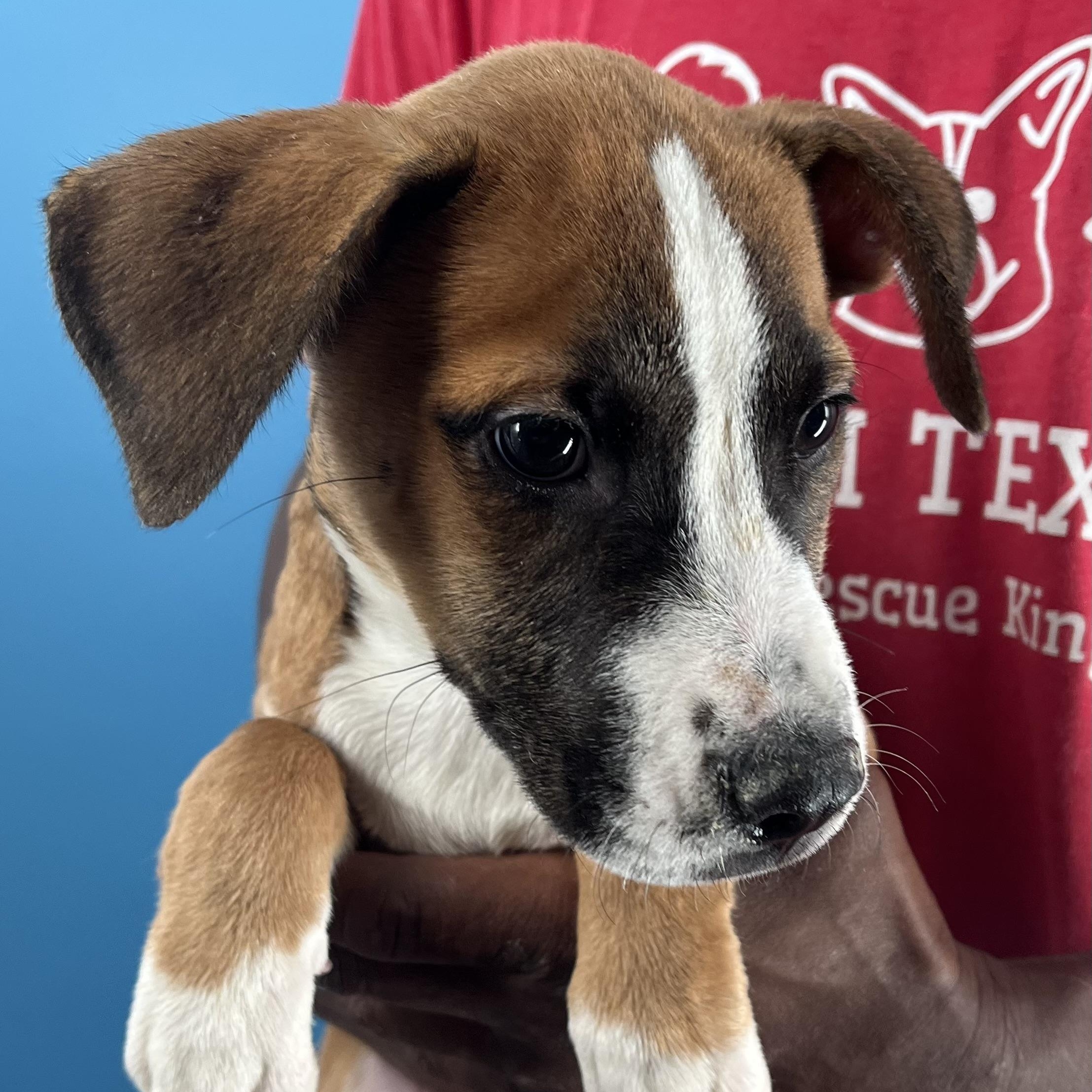 Carla  Local Oct thumbnail 6