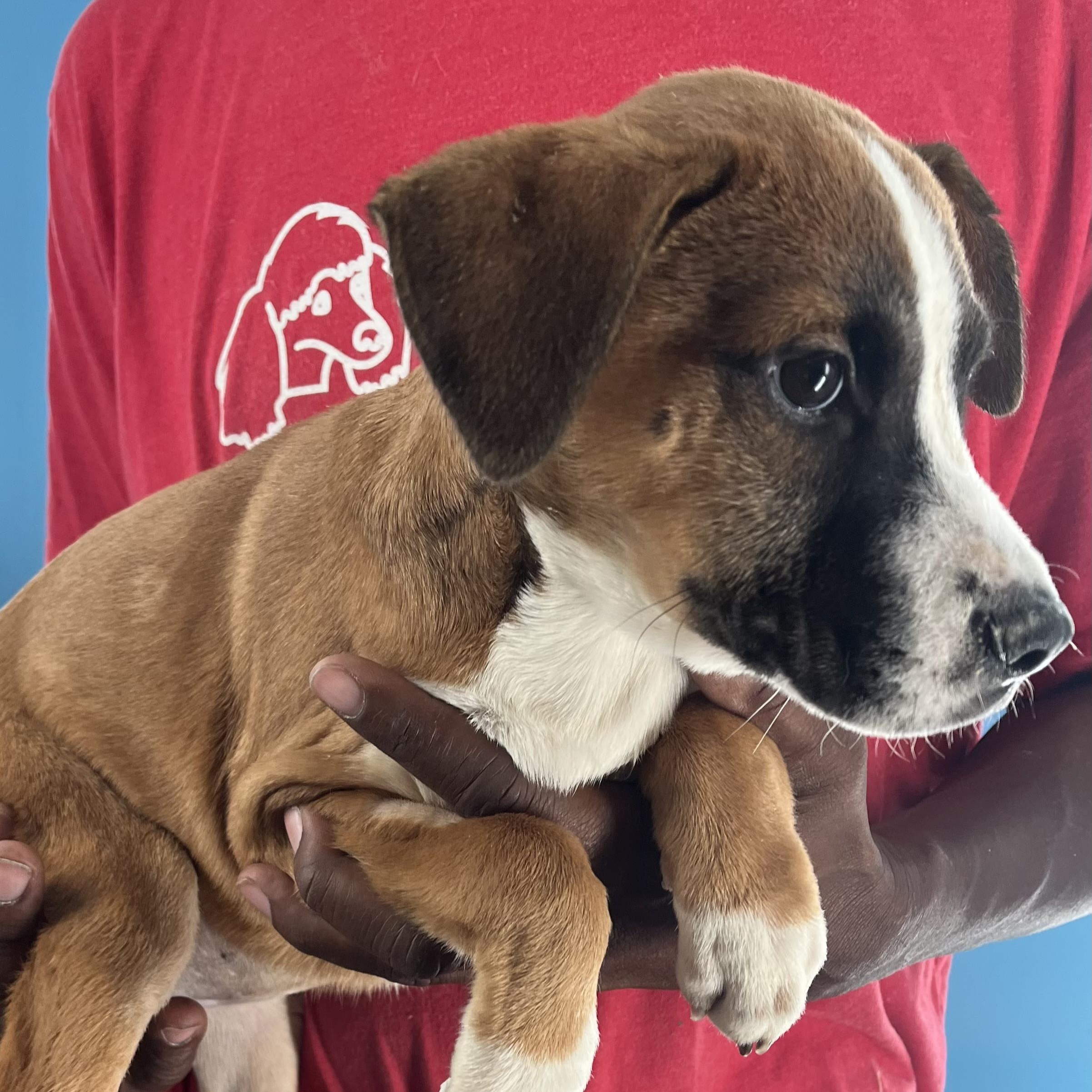 Carla  Local Oct thumbnail 3