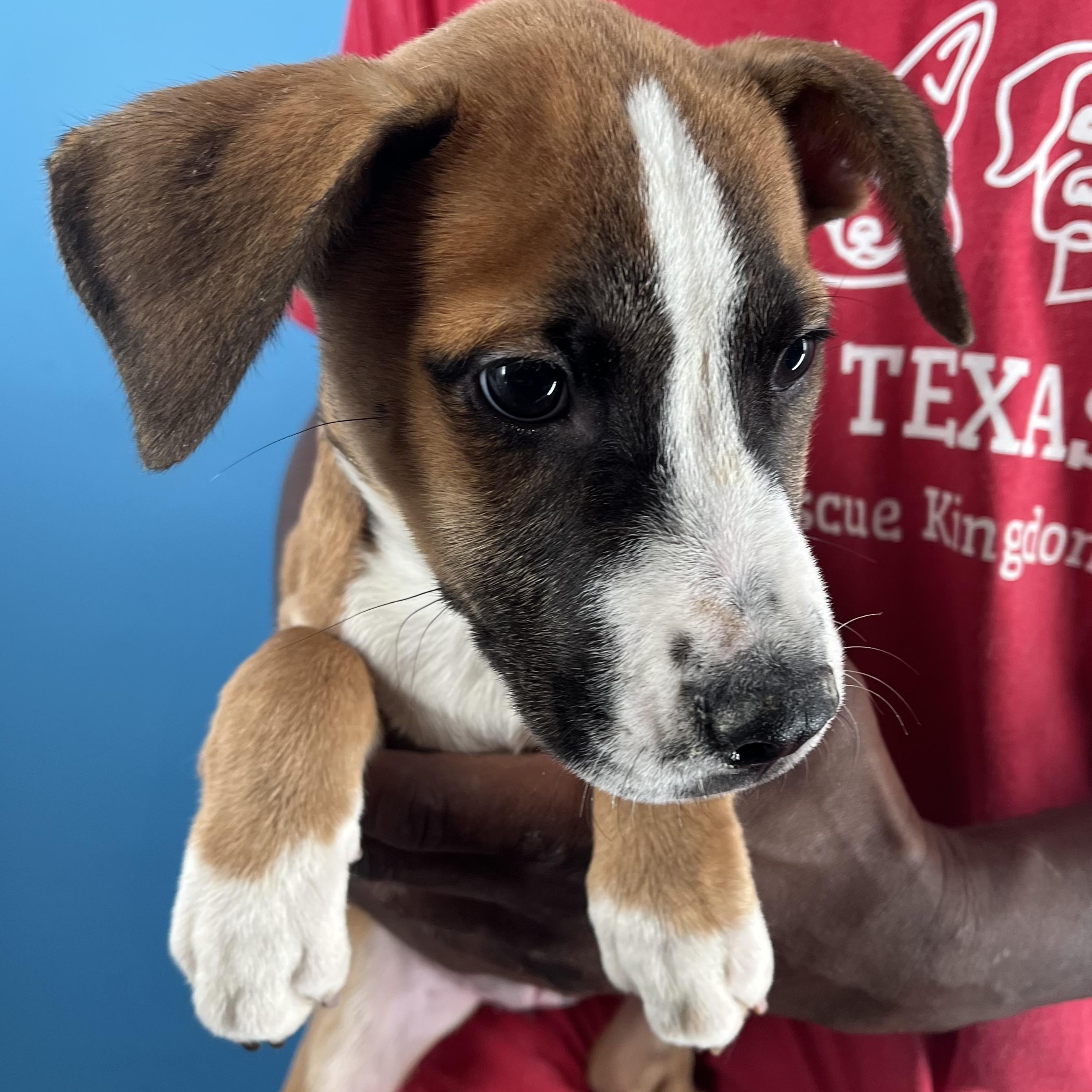 Carla  Local Oct thumbnail 5