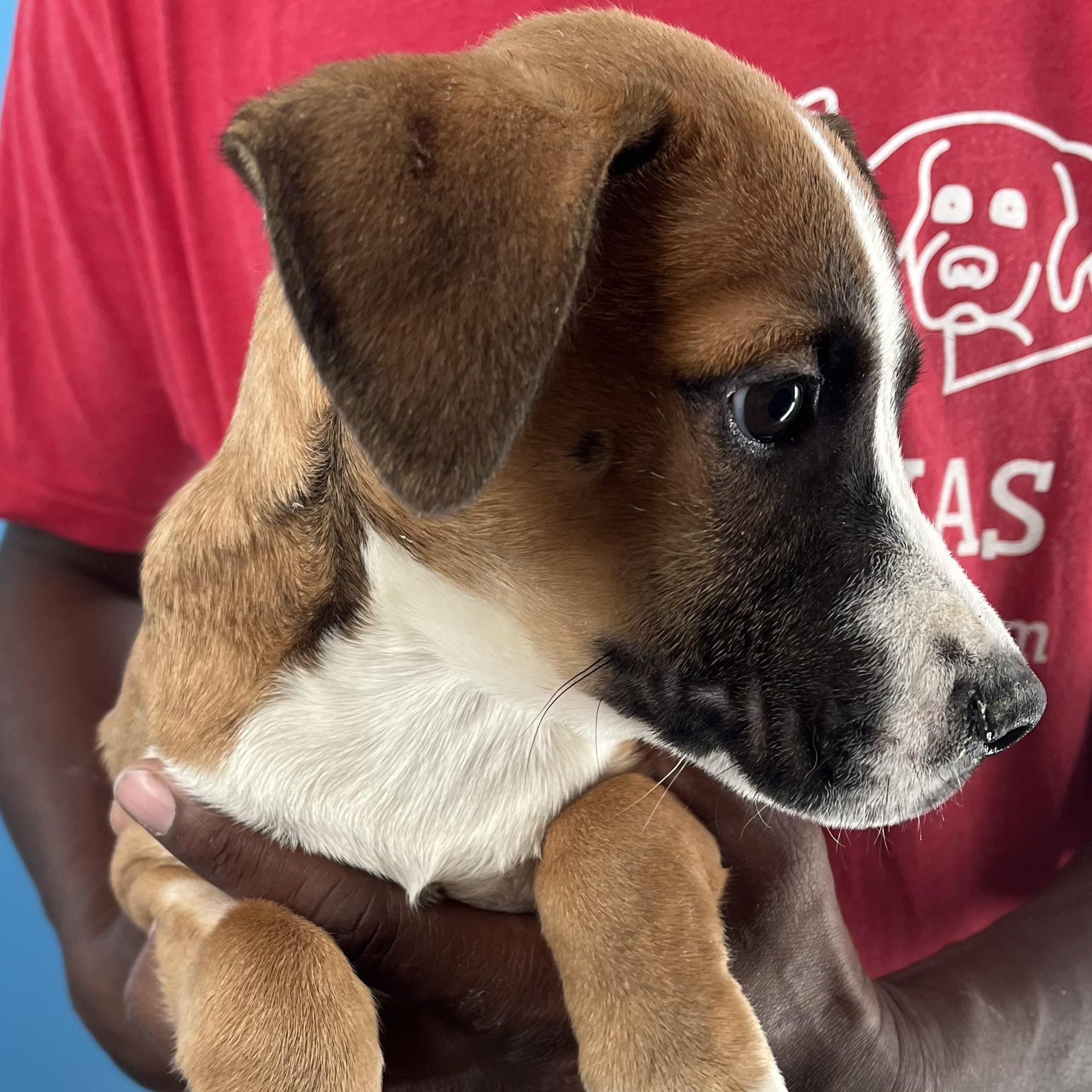 Carla  Local Oct thumbnail 2