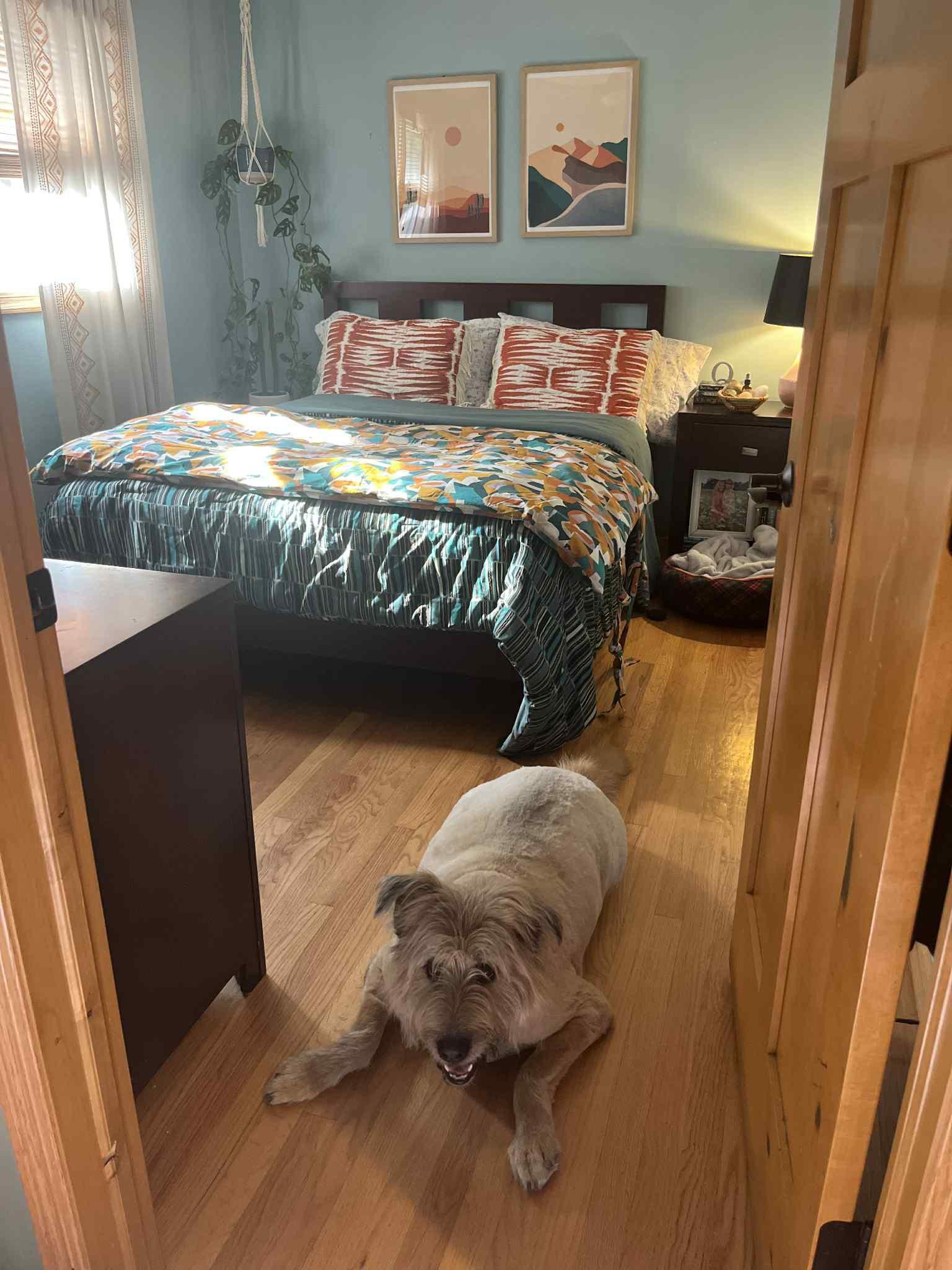 Lennox photo 3