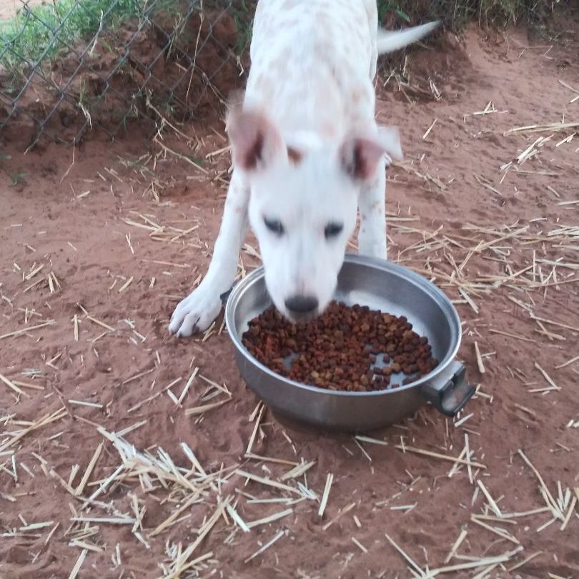 Christmas — thumbnail 2