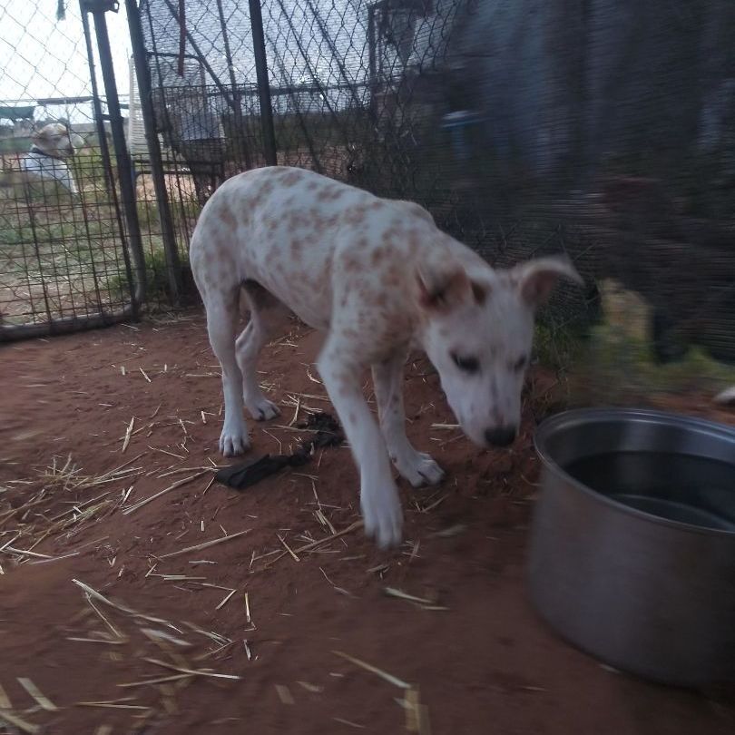 Christmas — thumbnail 3