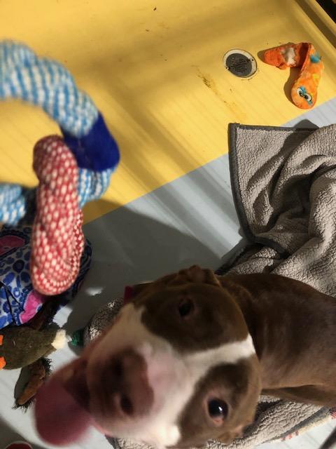 LULU — thumbnail 2